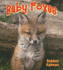 Baby Foxes (It's Fun to Learn About Baby Animals)