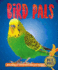 Bird Pals (Pet Pals)
