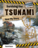 Surviving the Tsunami: Hear My Story (Disaster Diaries)