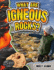 What Are Igneous Rocks? : Vol 1