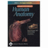 Acland's Dvd Atlas of Human Anatomy: the Upper Extremity, Disc 1