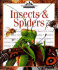 Insects & Spiders (Nature Company Discoveries Libraries)
