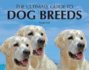 The Ultimate Guide to Dog Breeds