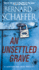 An Unsettled Grave (a Santero and Rein Thriller)