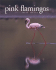 Pink Flamingos: Interviews With Jean-Louis Missika and Dominique Wolton = Le Spectateur Engage