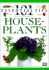 101 Essential Tips: House Plants