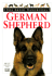 German Shepherd (Dog Breed Handbooks)