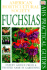 Fuchsias