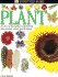 Eyewitness: Plant
