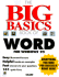 The Big Basics Book of Word for Windows 95