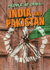 India & Pakistan (Odds)