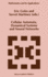 Cellular Automata, Dynamical Systems and Neural Networks