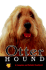 Otterhound: a Complete and Reliable Guide