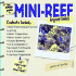 The Simple Guide to Mini Reef Aquariums