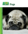 Pugs (Animal Planet Pet Care Library)