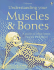 Understanding Your Muscles & Bones: Internet Linked