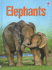 Elephants (Usborne Beginners)