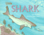 Little Shark