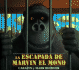 La Escapada De Marvin El Mono: Spanish Edition = the Escape of Marvin the Ape