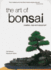The Art of Bonsai Format: Paperback