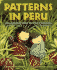 Patterns in Peru: an Adventure in Patterning
