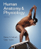 Human Anatomy and Physiology With Interactive Physiology 10-System Suite, 8th Edition