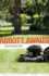 Abbott Awaits: a Novel (Yellow Shoe Fiction)