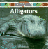 Alligators (My World)