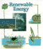 Renewable Energy (What About...? )