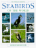 Seabirds of the World: the Complete Reference