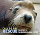 Call to the Rescue: the Story of the Marine Mammal Center