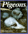 Pigeons (Barron's Pet Owner's Manual)