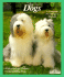Dogs: How to Take Care of Them and Understand Them/With Color Photographs (Complete Pet Owner's Manual)