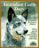 Australian Cattle Dogs