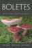 Boletes of Eastern North America