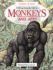 A Visual Introduction to Monkeys & Apes: a Visual Introduction to Monkeys and Apes