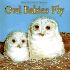 Owl Babies Fly-Pbk (Troll First-Start Science)