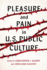 Pleasure and Pain in Us Public Culture (Rhetoric, Culture, and Social Critique)