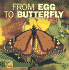 From Egg to Butterfly