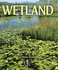 Wetland