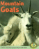 Mountain Goats (Early Bird Nature Books)