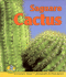 Saguaro Cactus (Early Bird Nature Books)