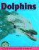 Dolphins