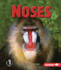 Noses (First Step Nonfiction Animal Traits)