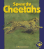 Speedy Cheetahs (Pull Ahead Animals)