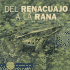 Del Renaucajo a La Rana / From Tadpole to Frog (De Principio a Fin / Start to Finish) (Spanish Edition)