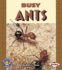 Busy Ants (Pull Ahead Books)