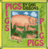 Pigs