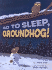 Go to Sleep, Groundhog!