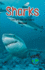 Sharks: Learning the Sh Sound (Phonics for the Real World)